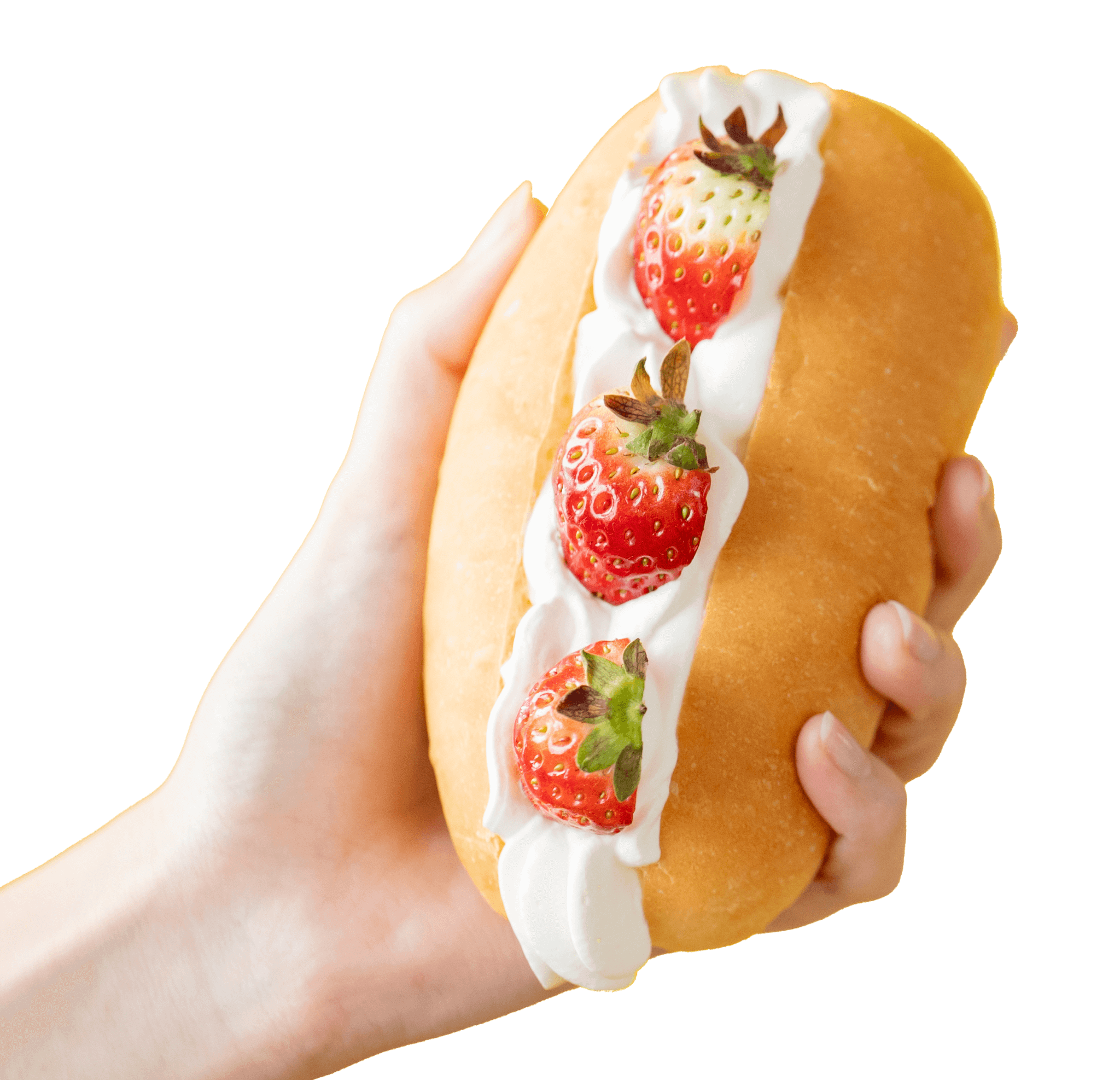 コッペパンイメージ